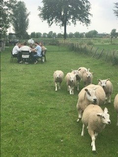 Natuurhuisje in Schalkwijk