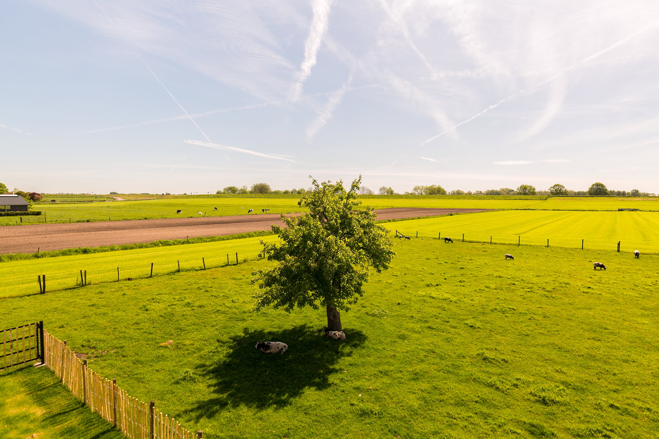 Natuurhuisje in Schalkwijk