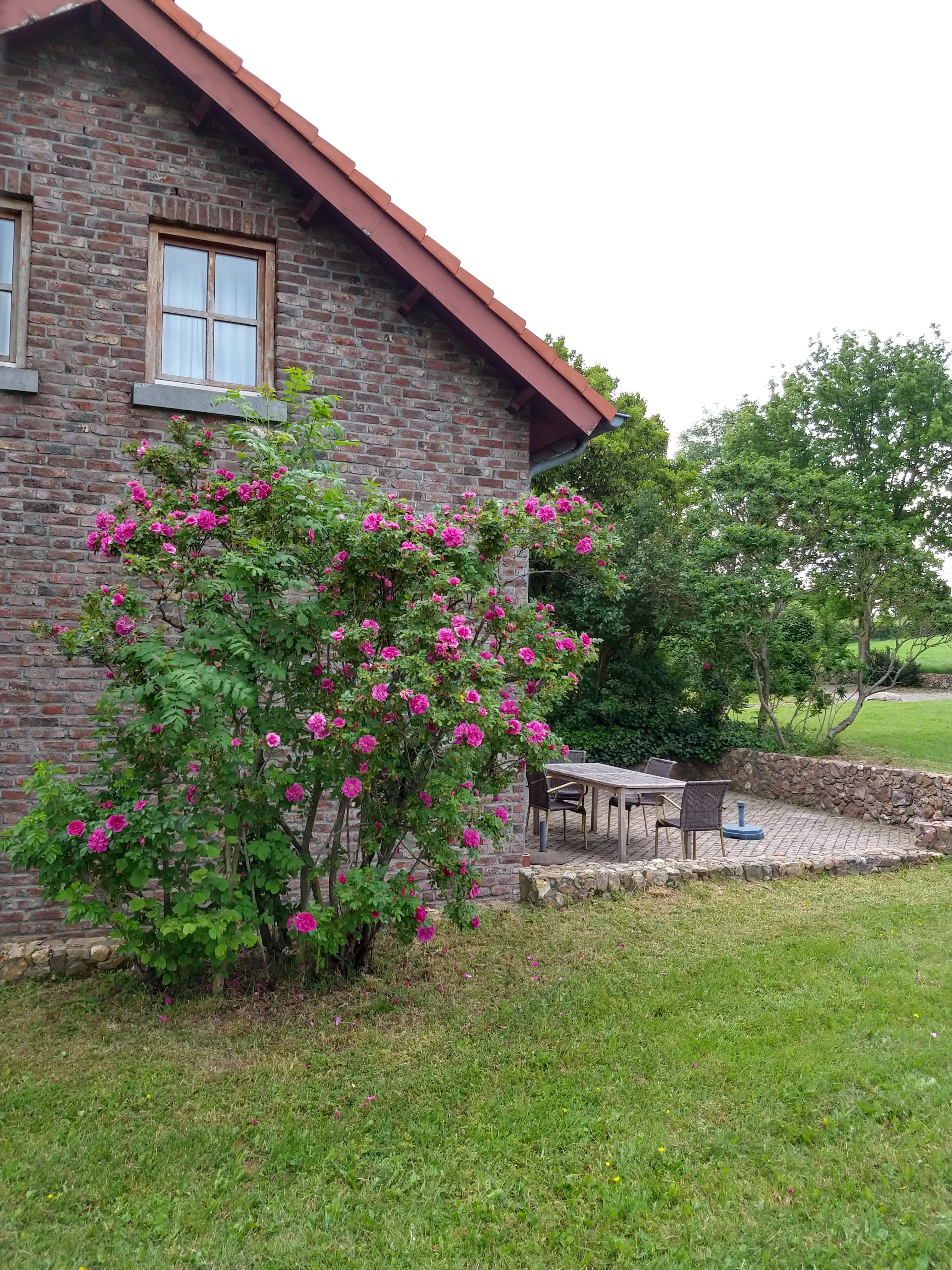 Natuurhuisje in Mechelen