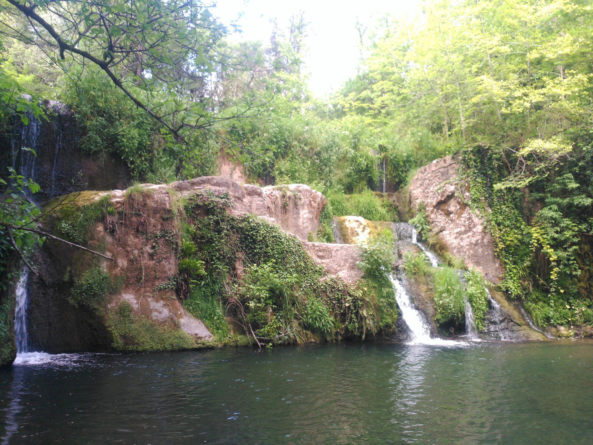 - image: 13