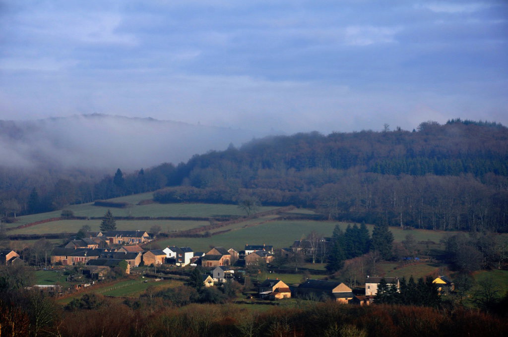 - image: 17