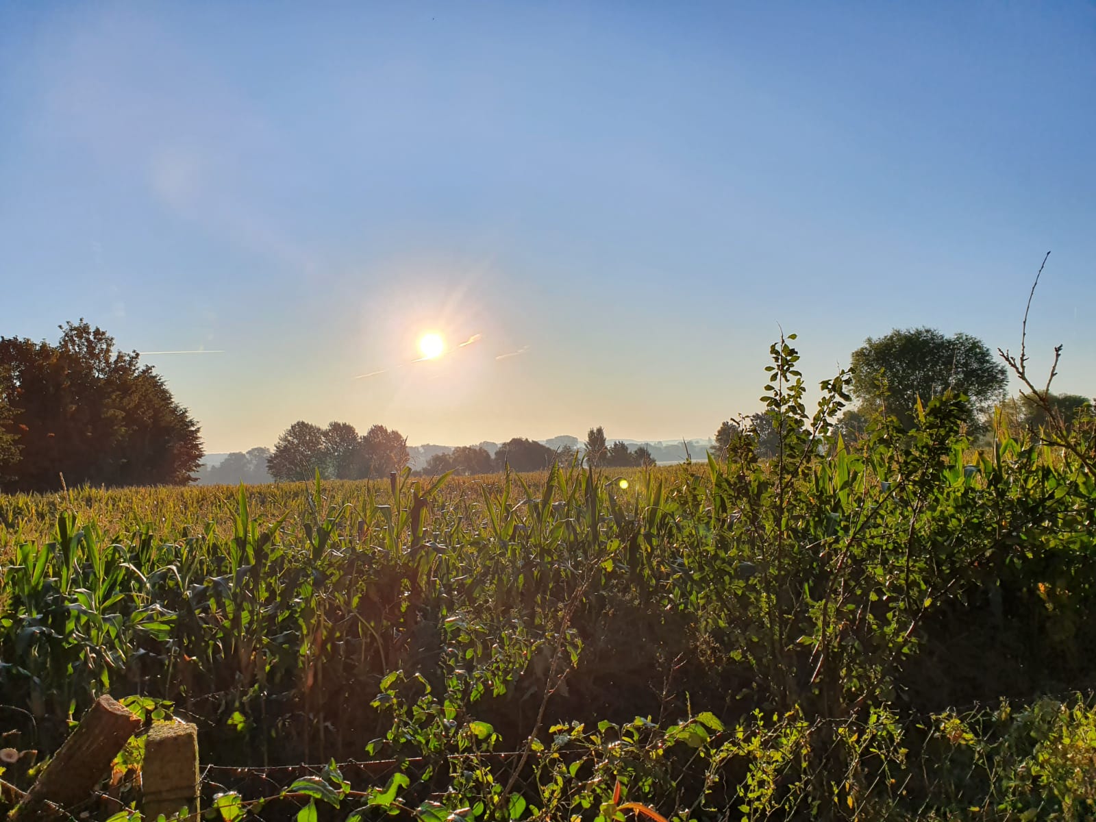 Maison nature à Leezen