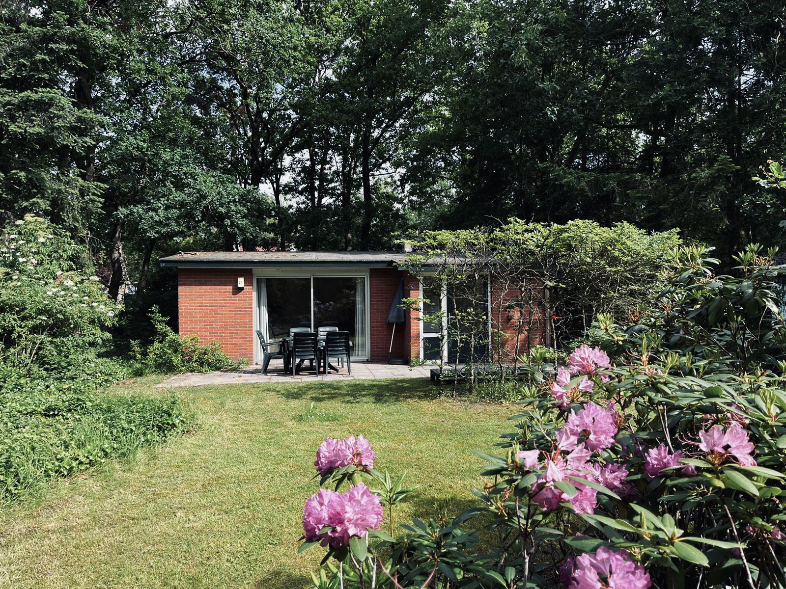 Natuurhuisje in Hellendoorn