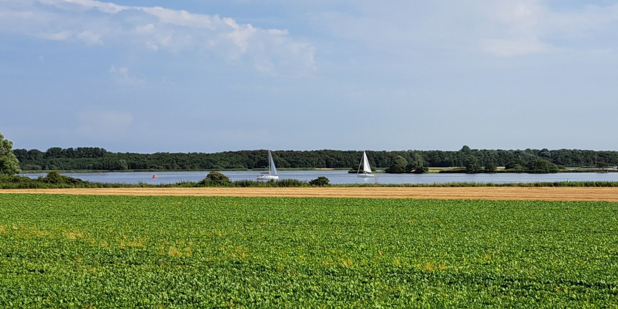 - image: 22