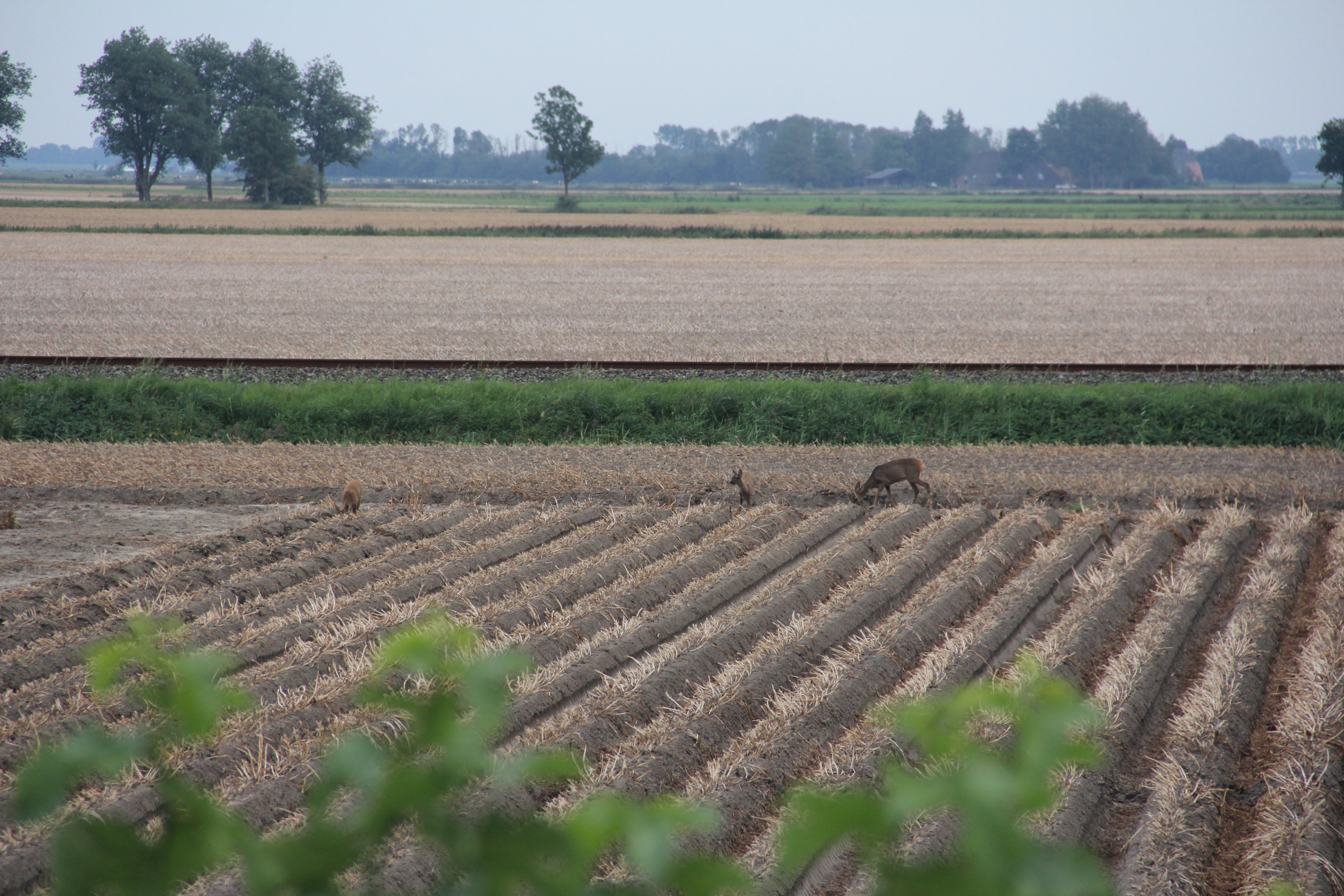 Naturhäuschen in Usquert