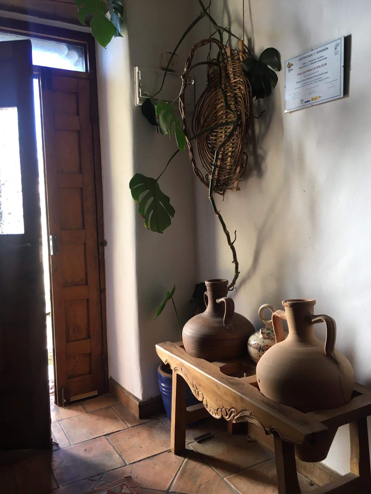 - image: 26