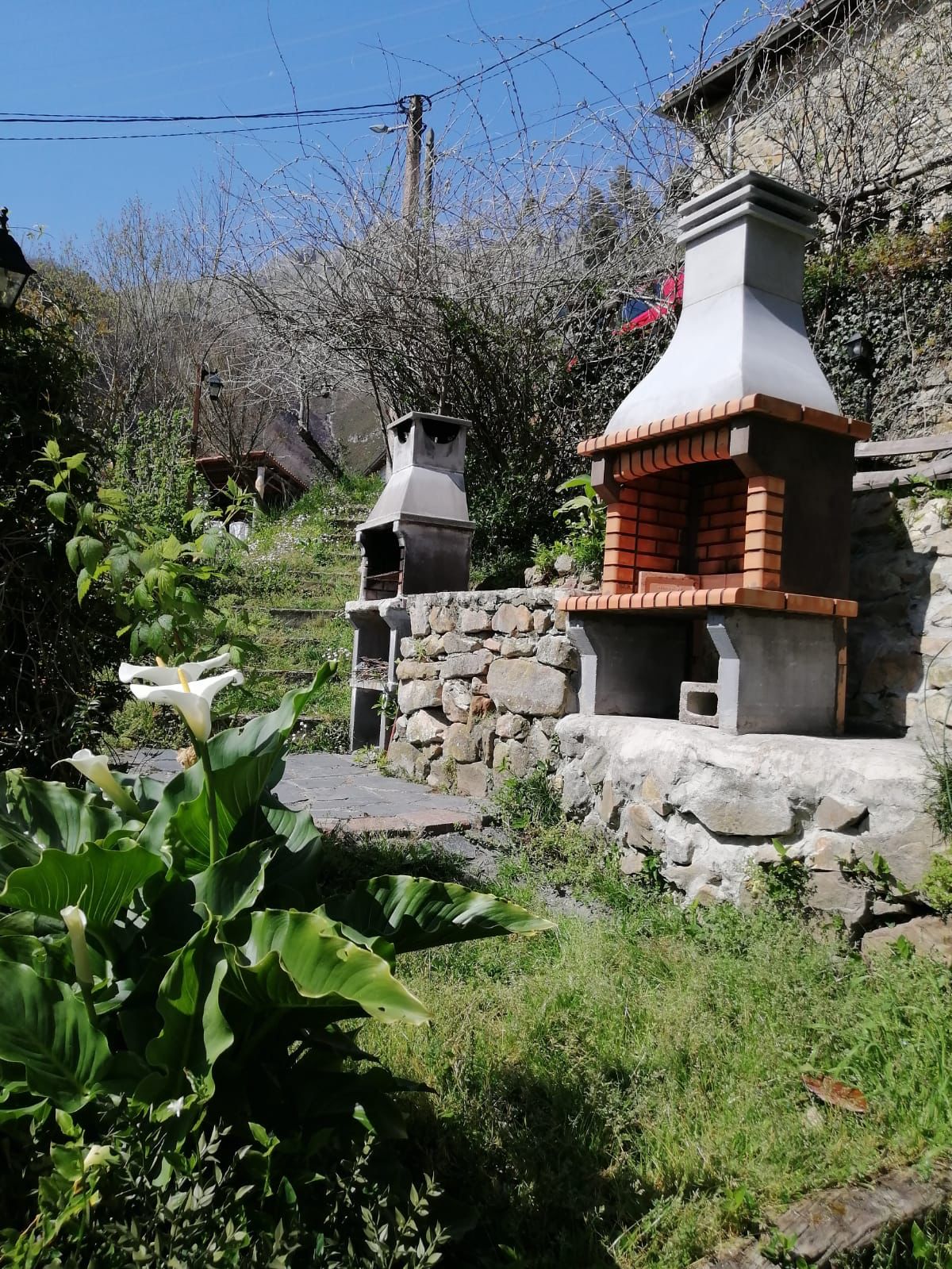 - image: 41