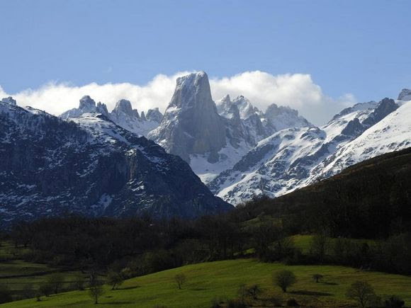 - image: 24