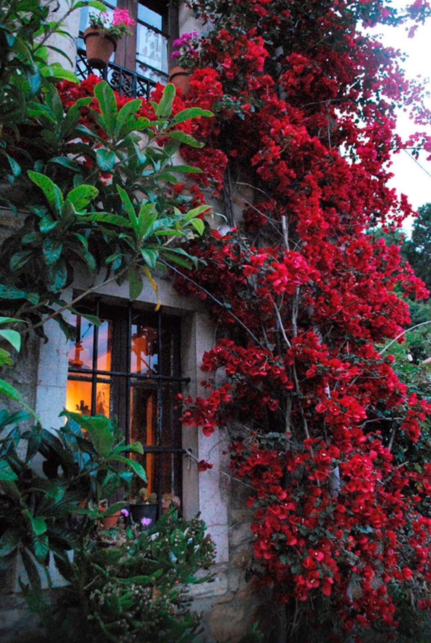 Nature house in Ruenes