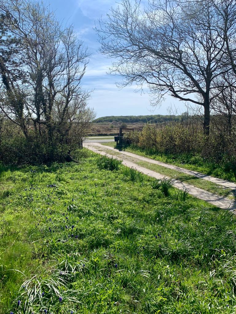 Natuurhuisje in Den Hoorn