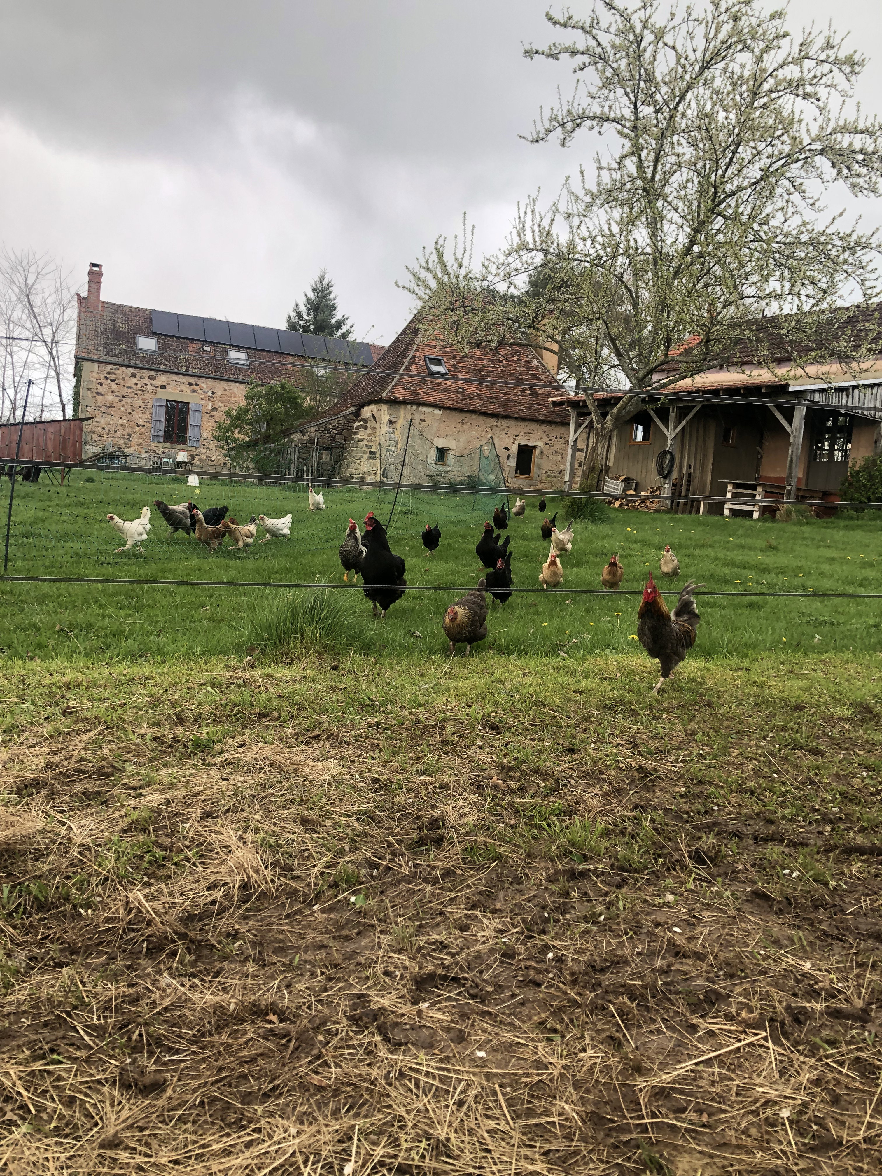 Natuurhuisje in Le Brethon