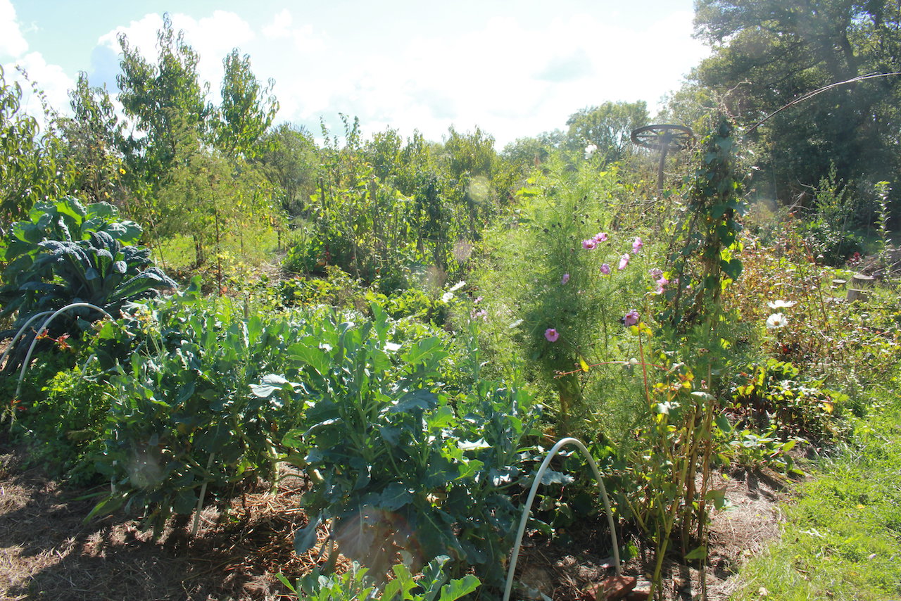 Natuurhuisje in Le Brethon