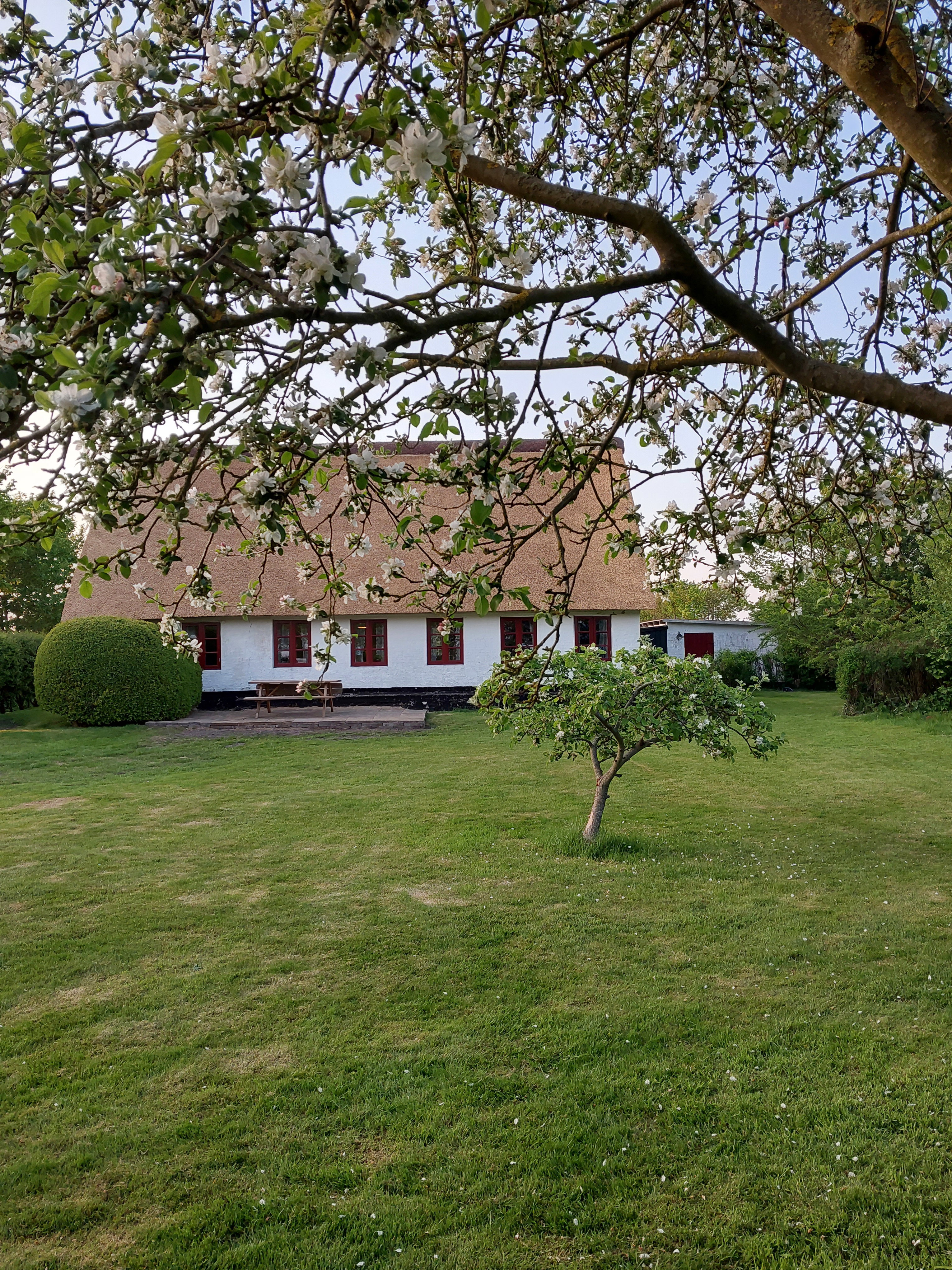 Naturhäuschen in Skærbæk