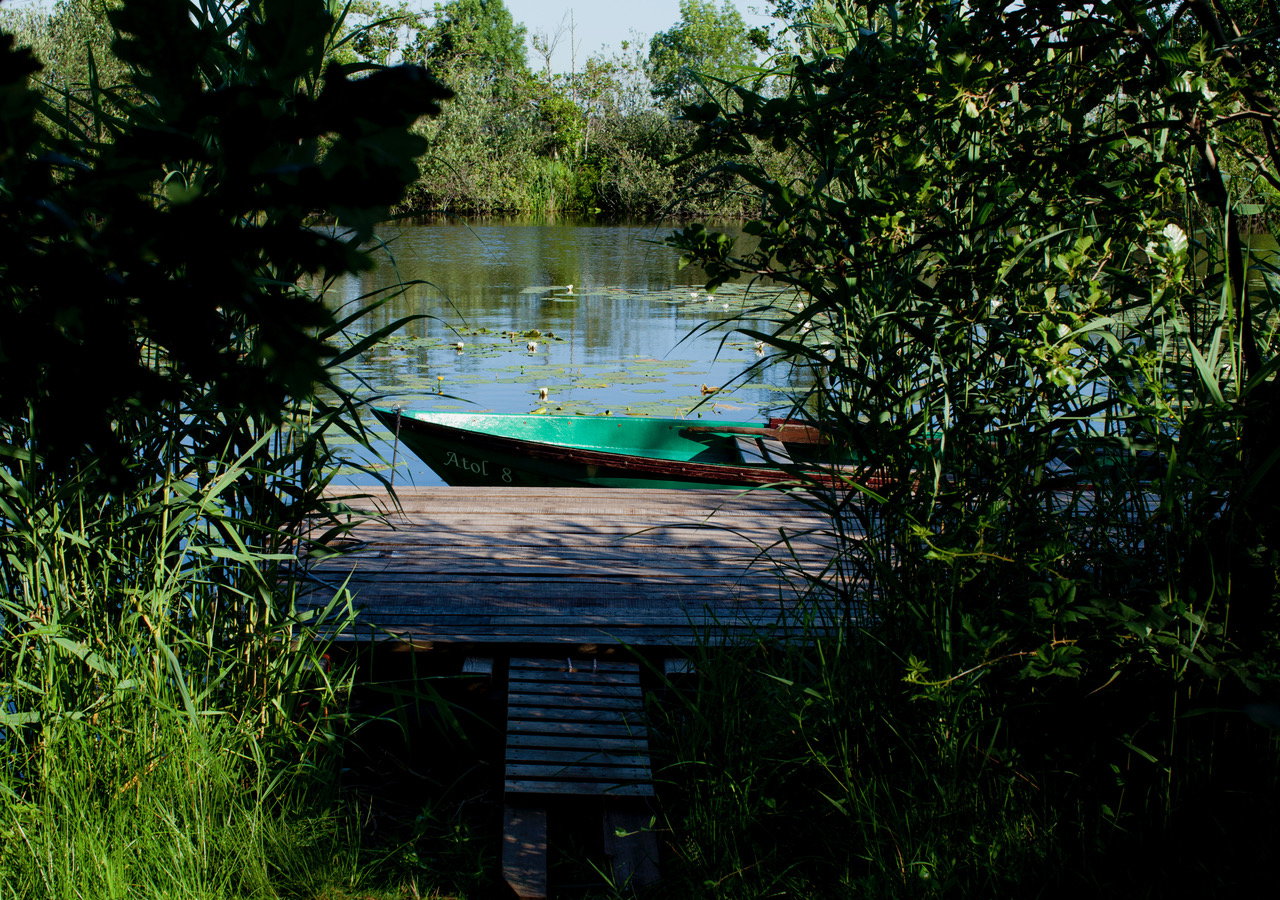 - image: 16