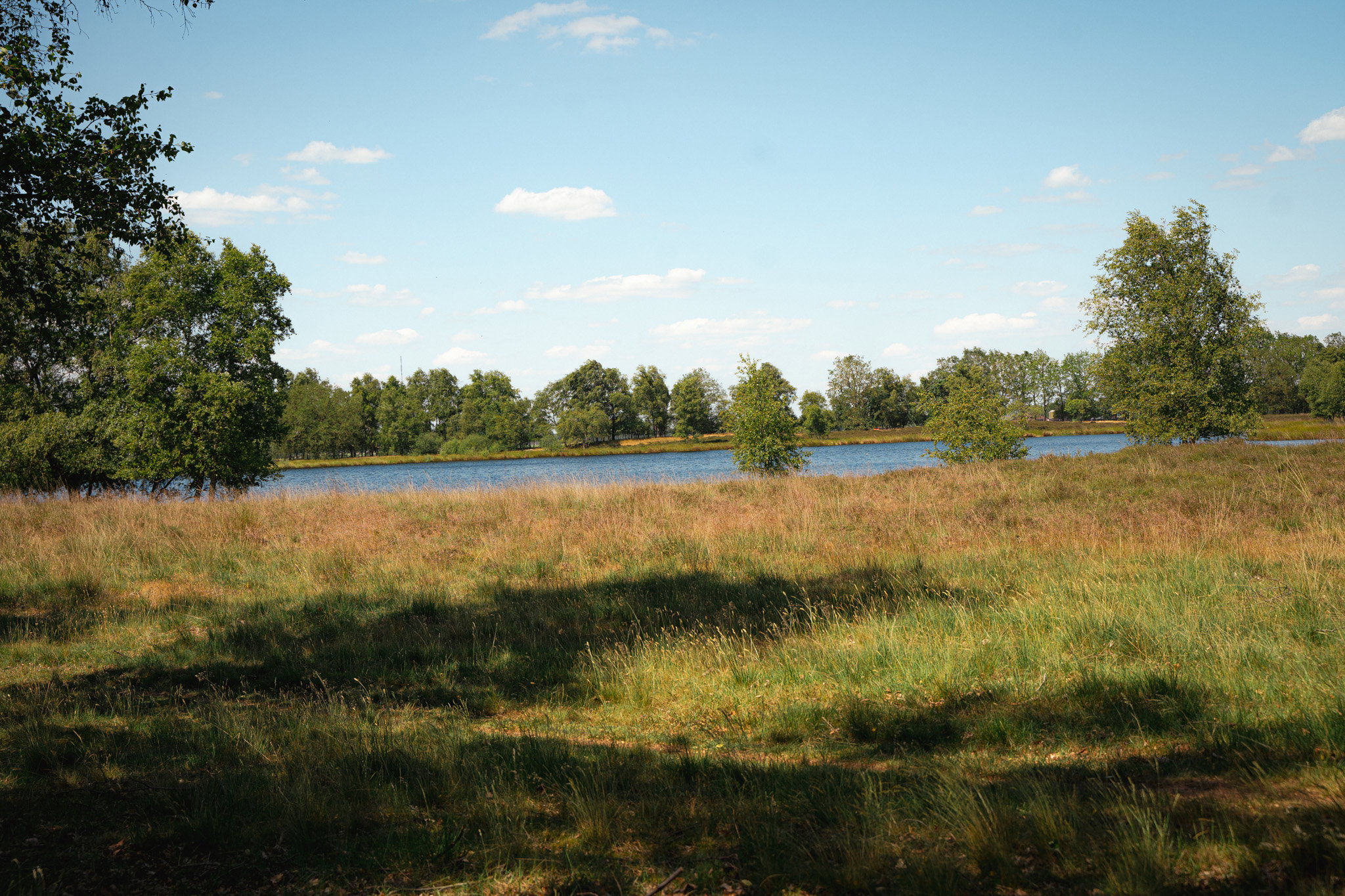 - image: 12