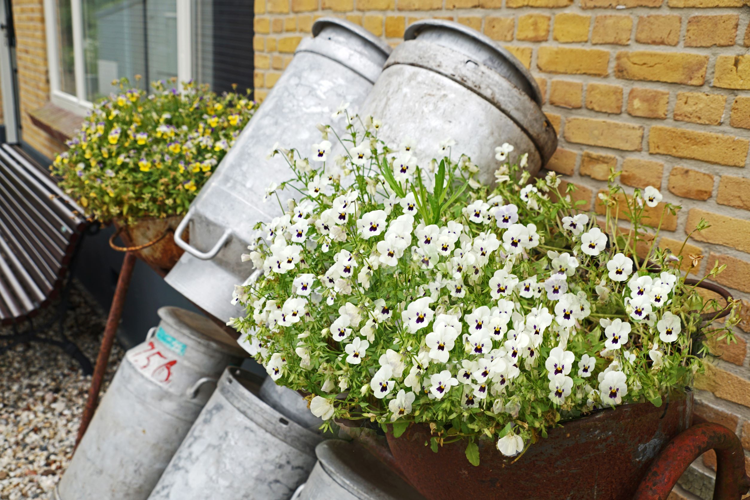 - image: 23