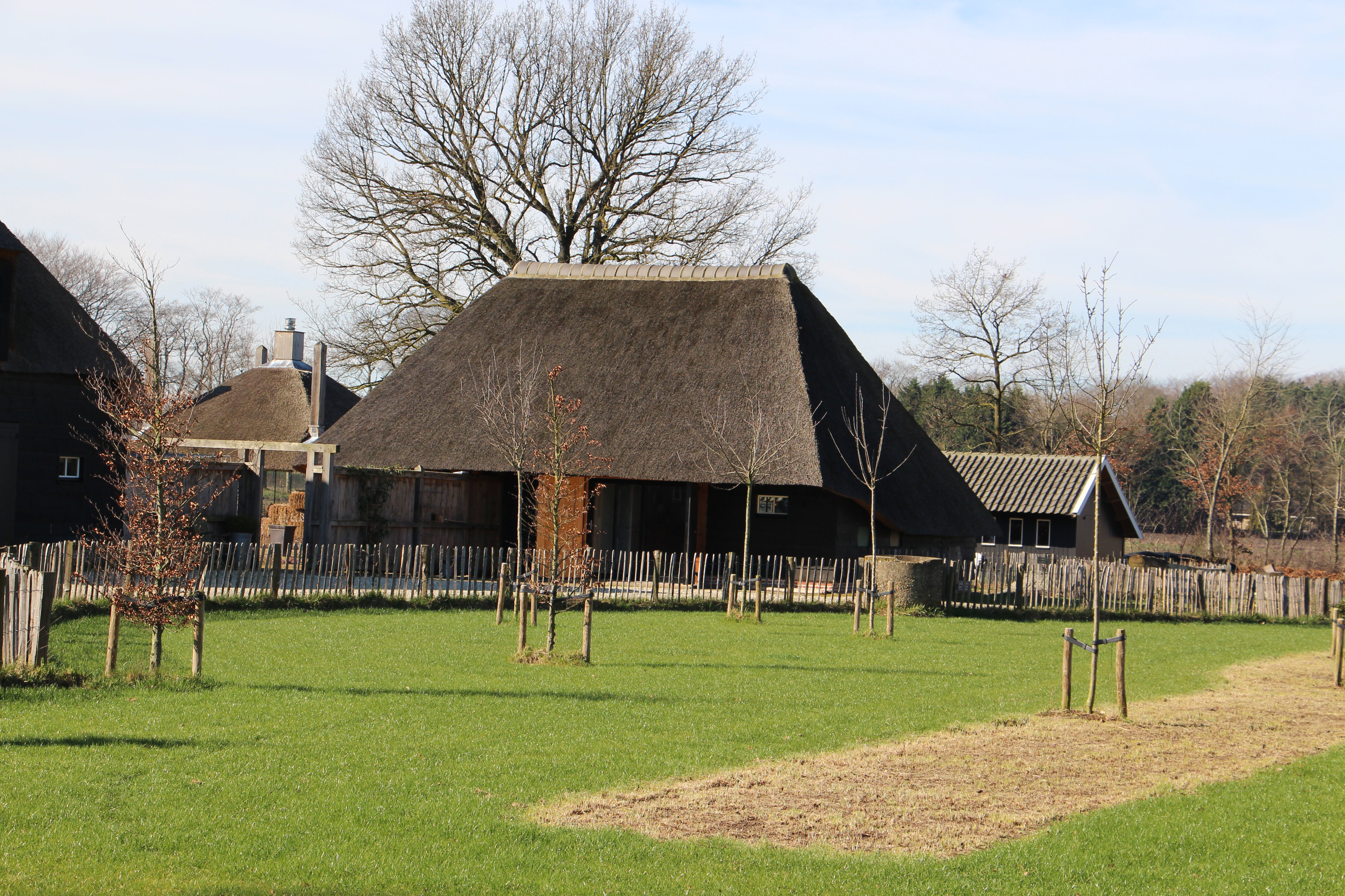 Maison nature à Breda