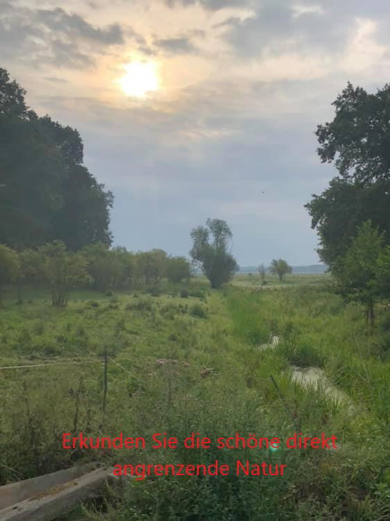 - image: 23