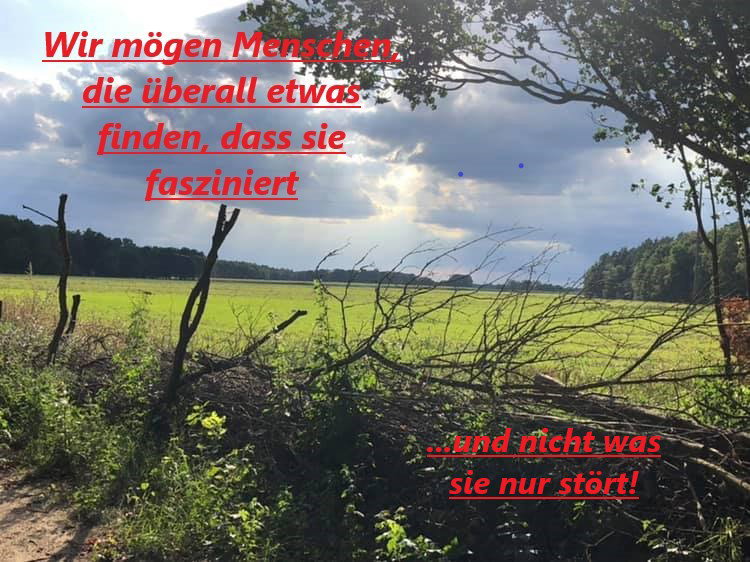 - image: 29