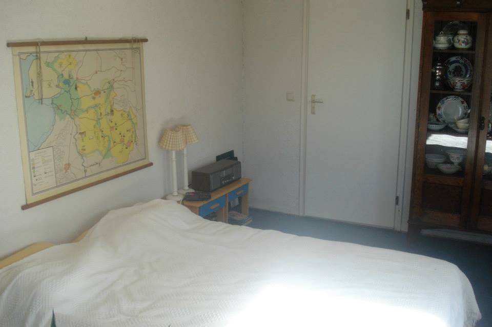 - image: 11