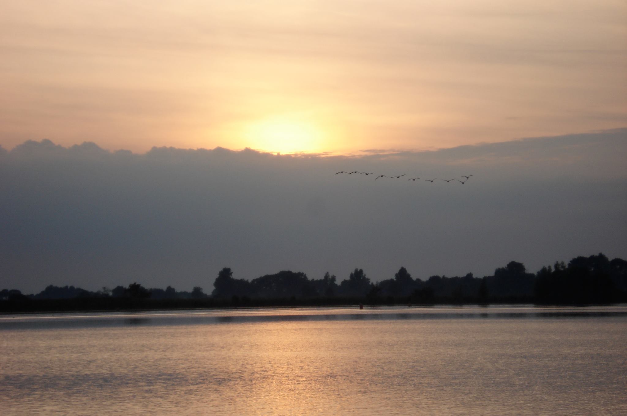 - image: 20