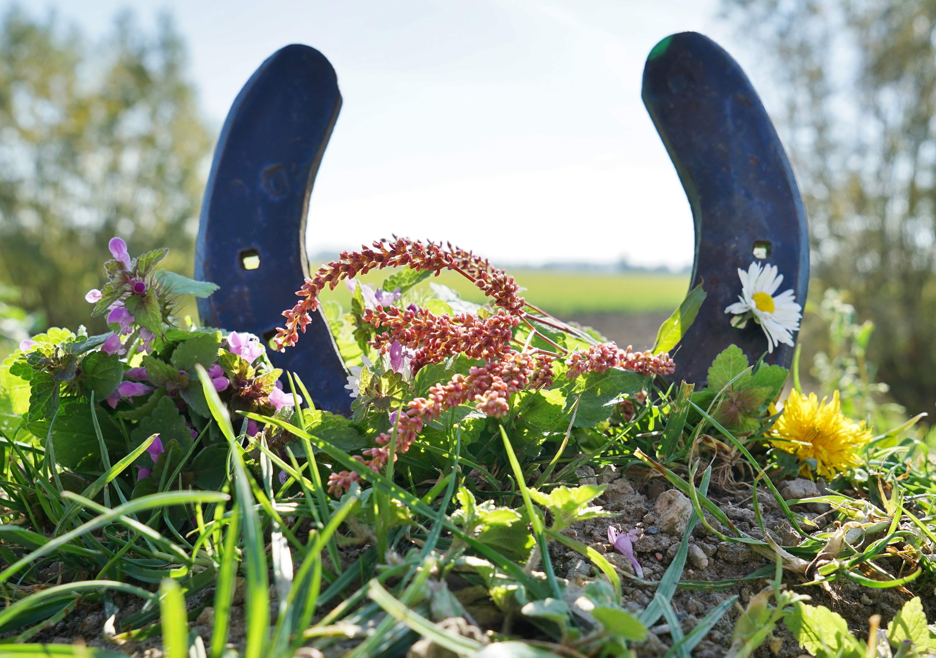 Naturhäuschen in Oostburg