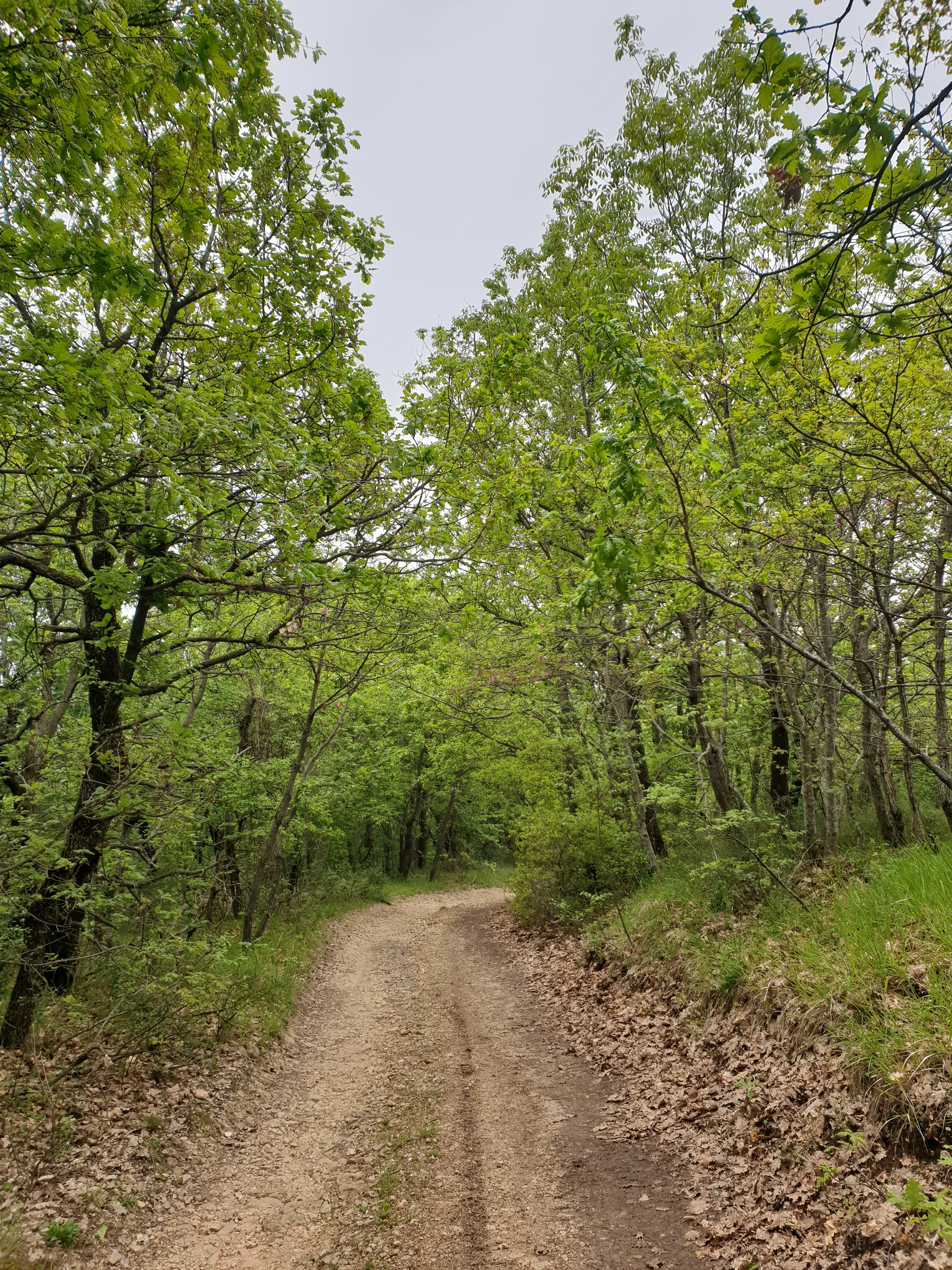 Natuurhuisje in Apiro