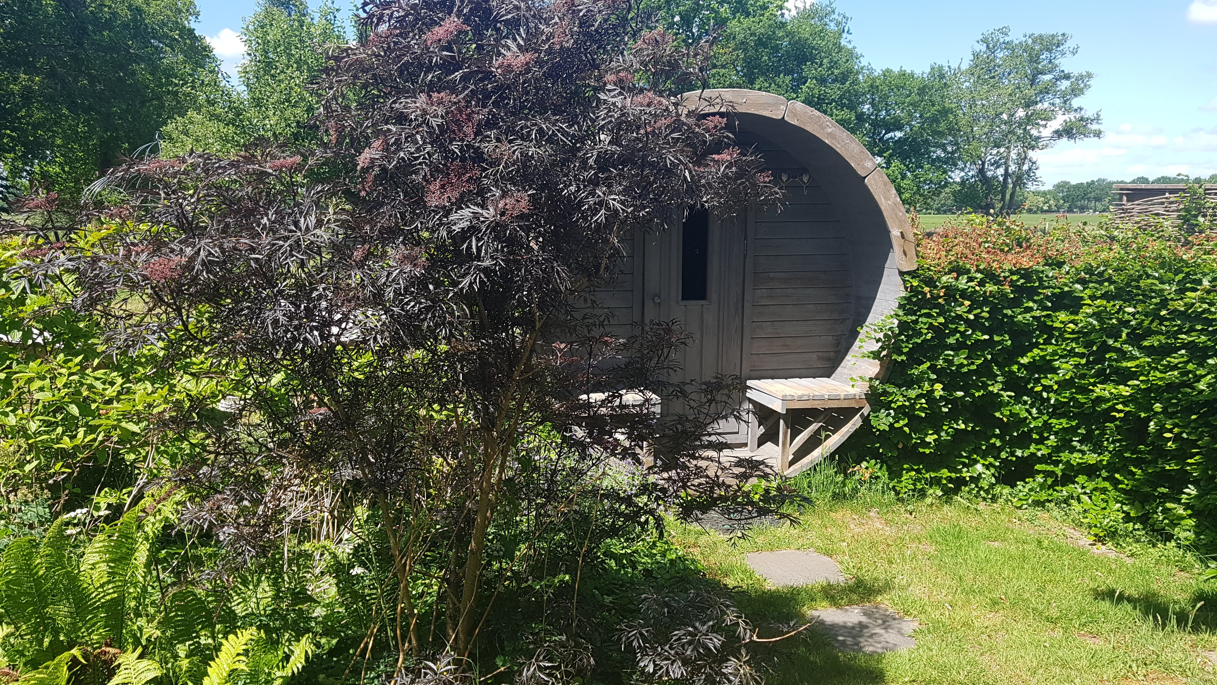 Naturhäuschen in Dieverbrug