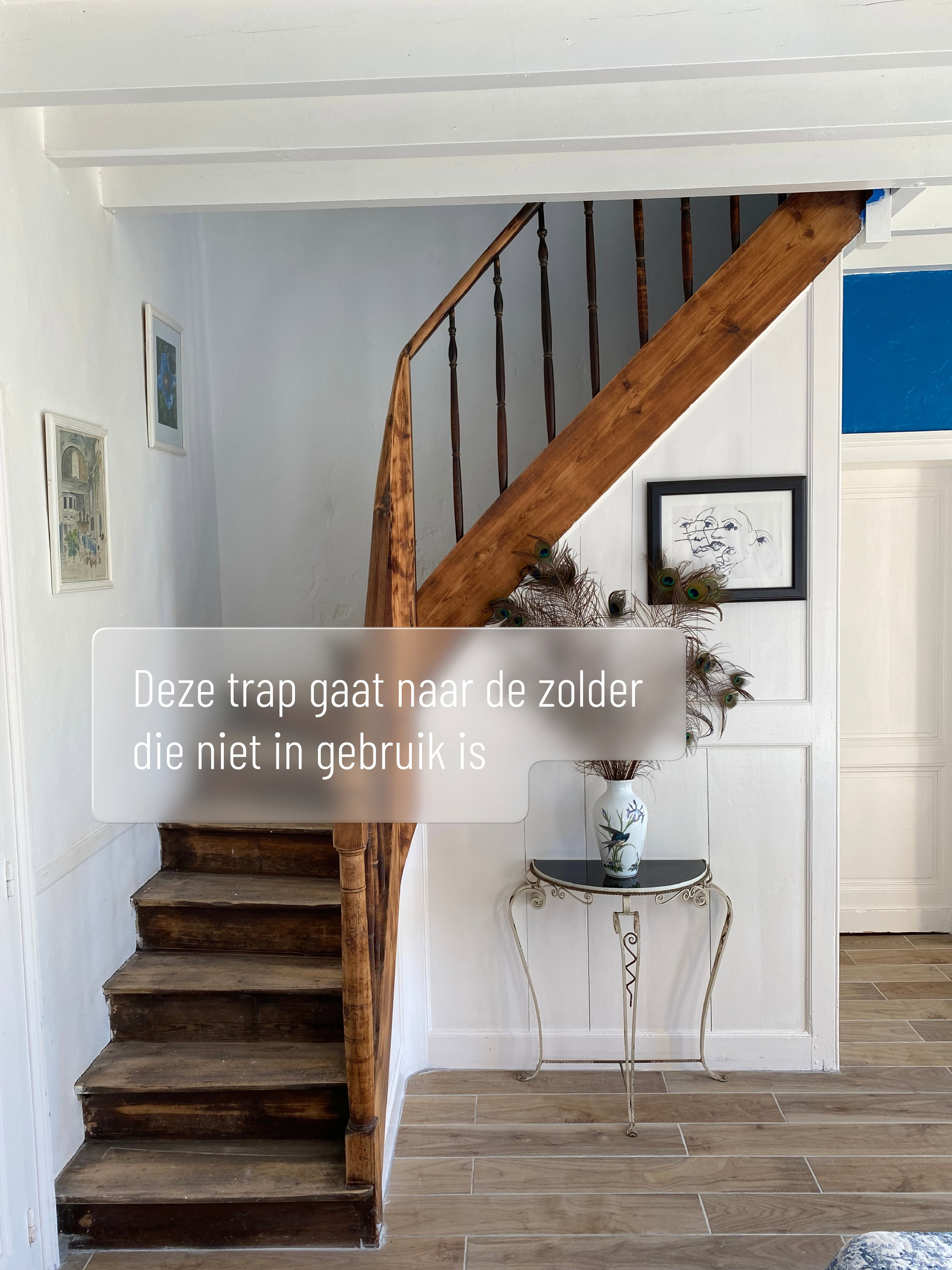 - image: 13