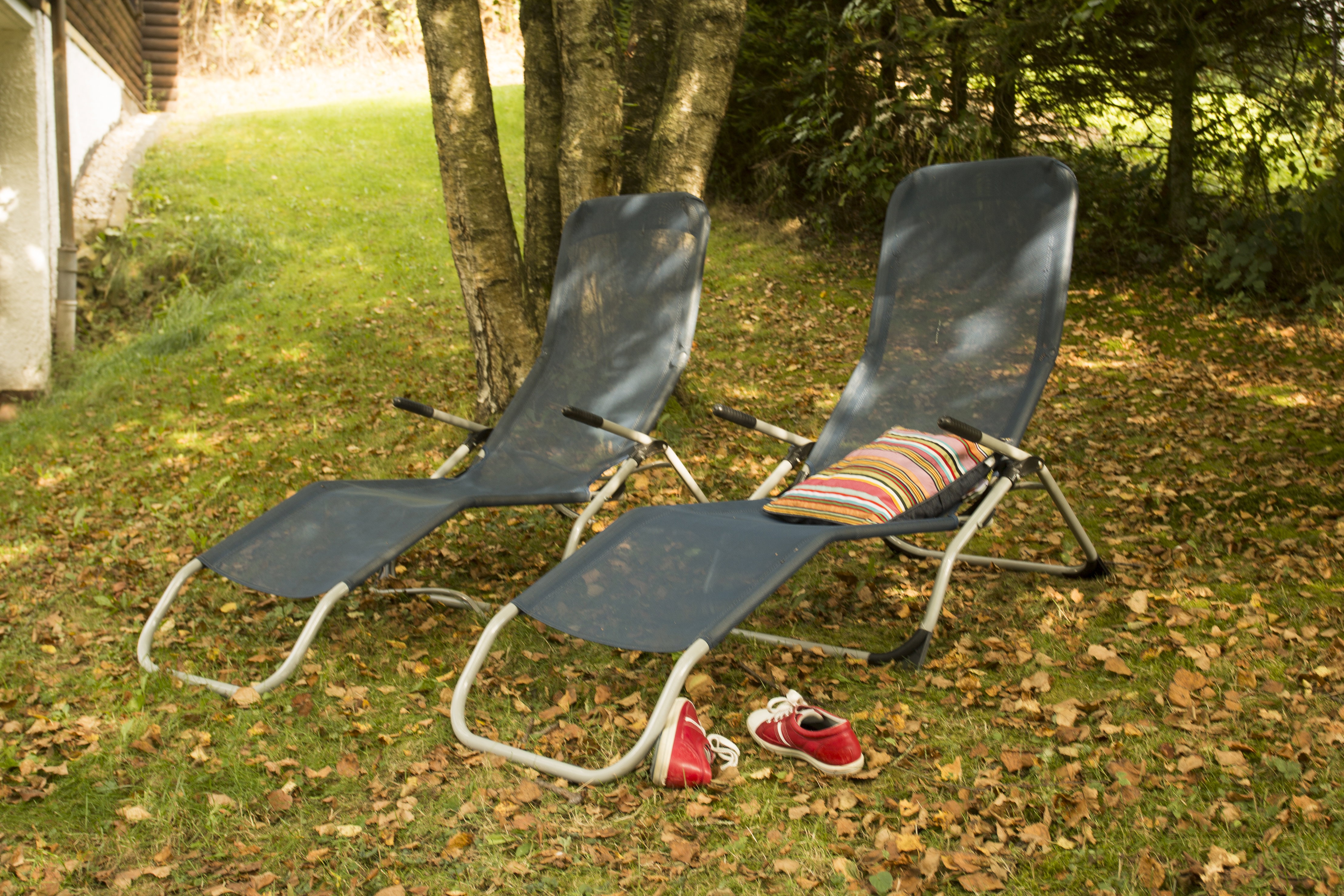 Natuurhuisje in Schönecken