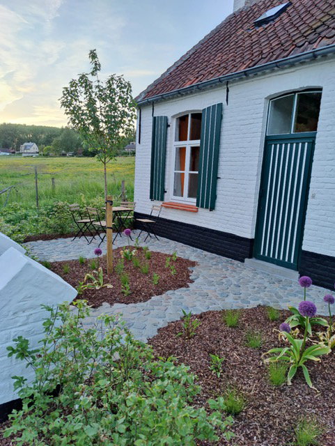 - image: 24