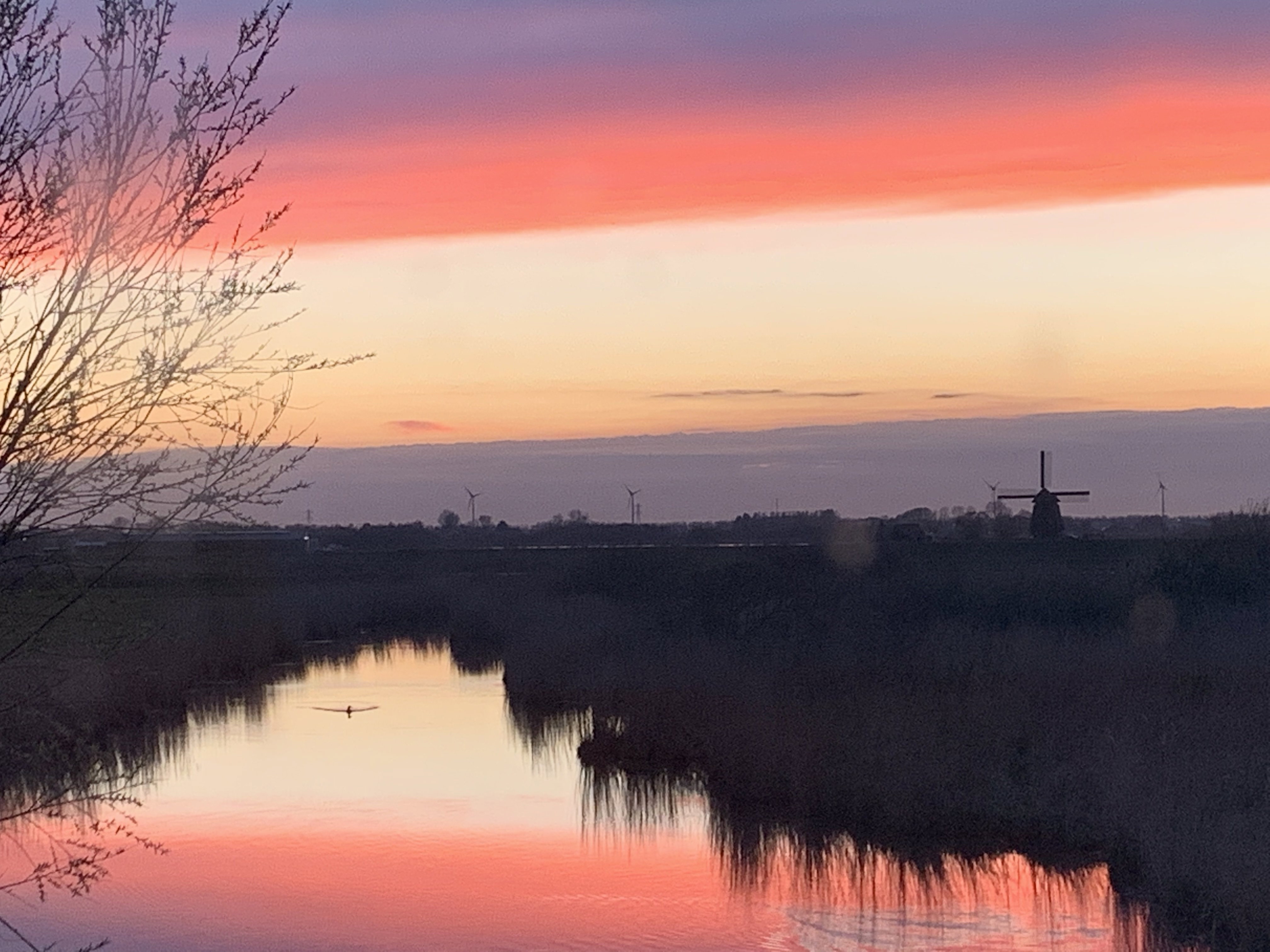 Naturhäuschen in Grootschermer