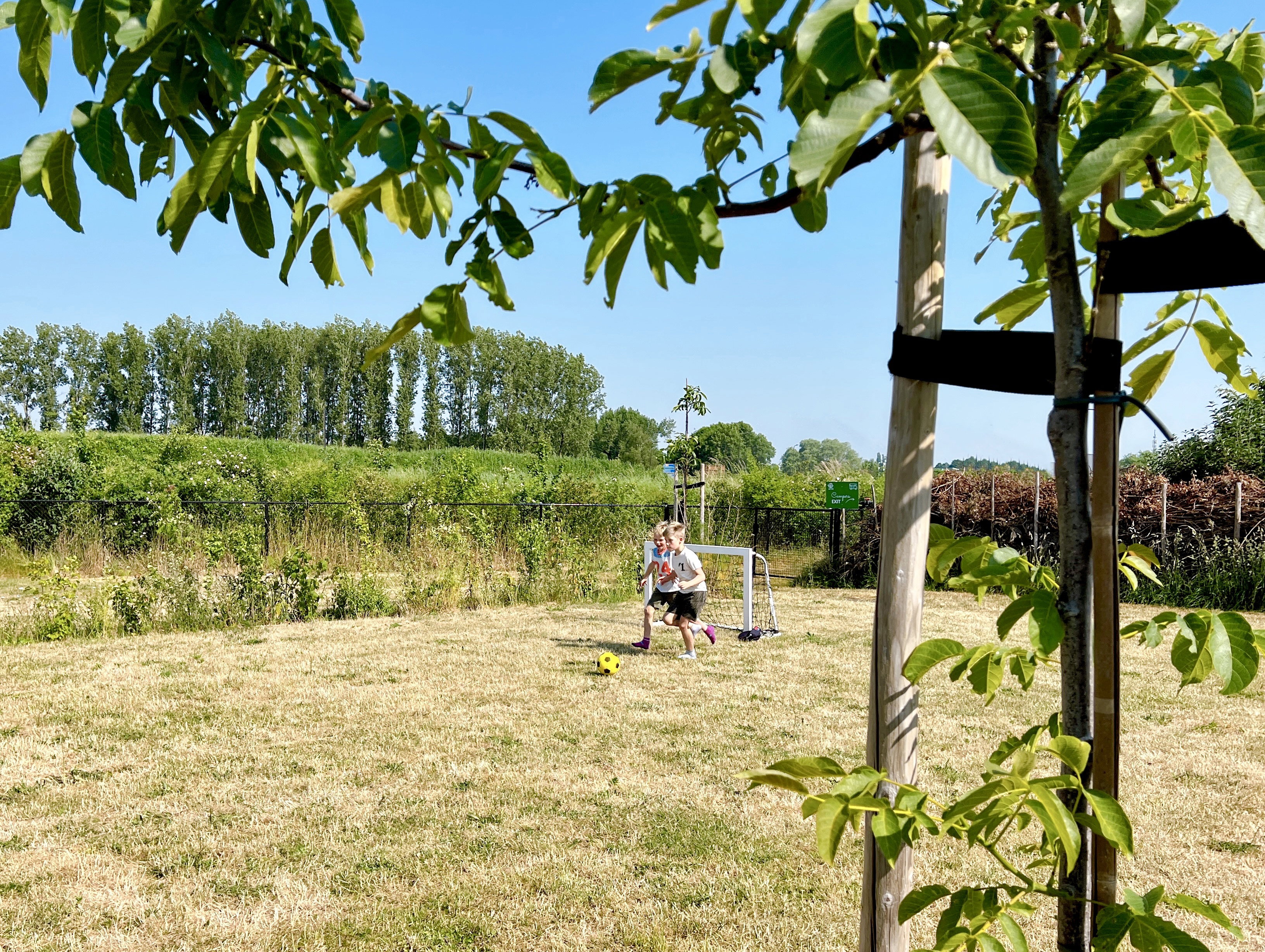 Natuurhuisje in Valkenswaard