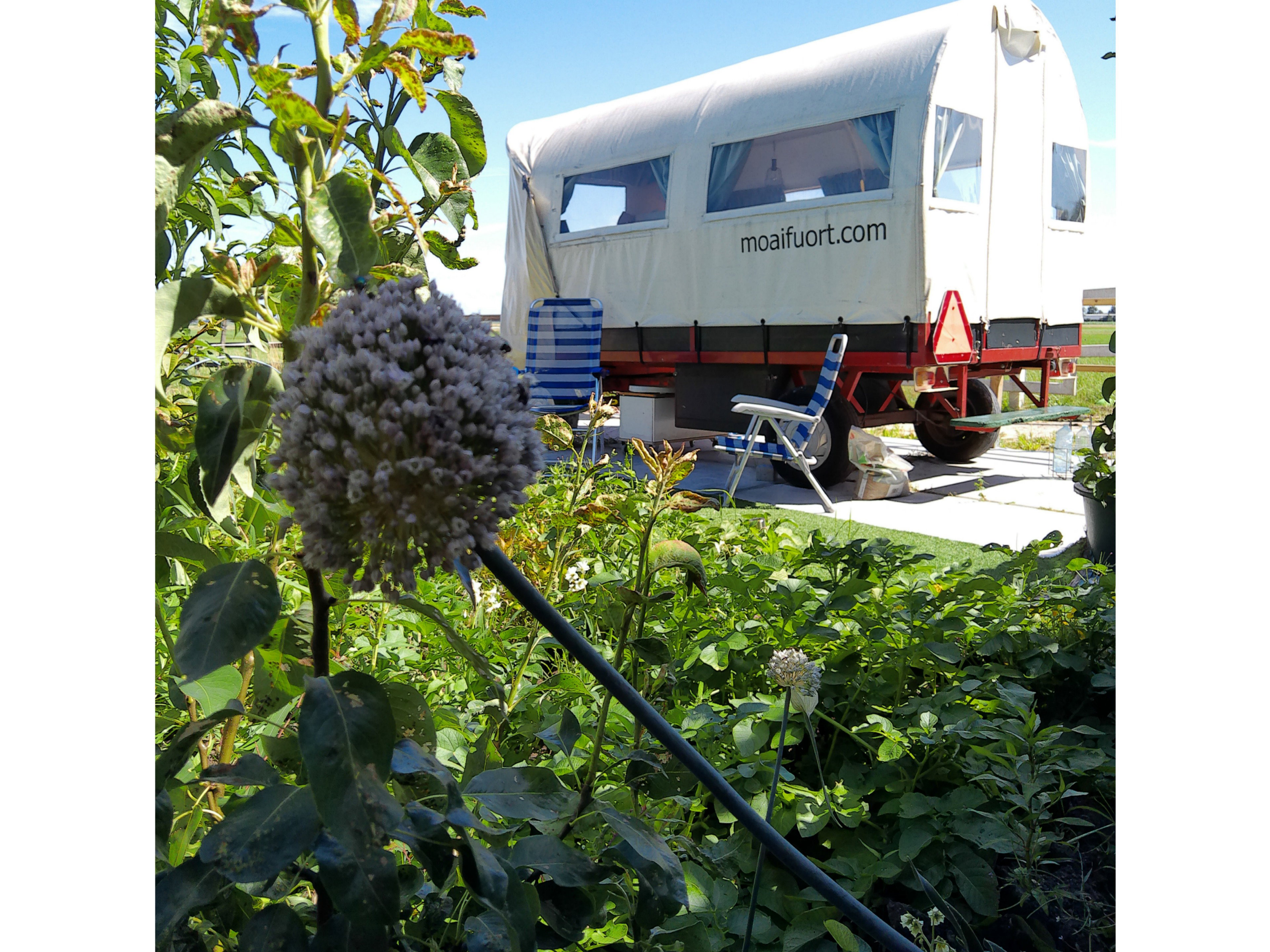 Natuurhuisje in Hommerts