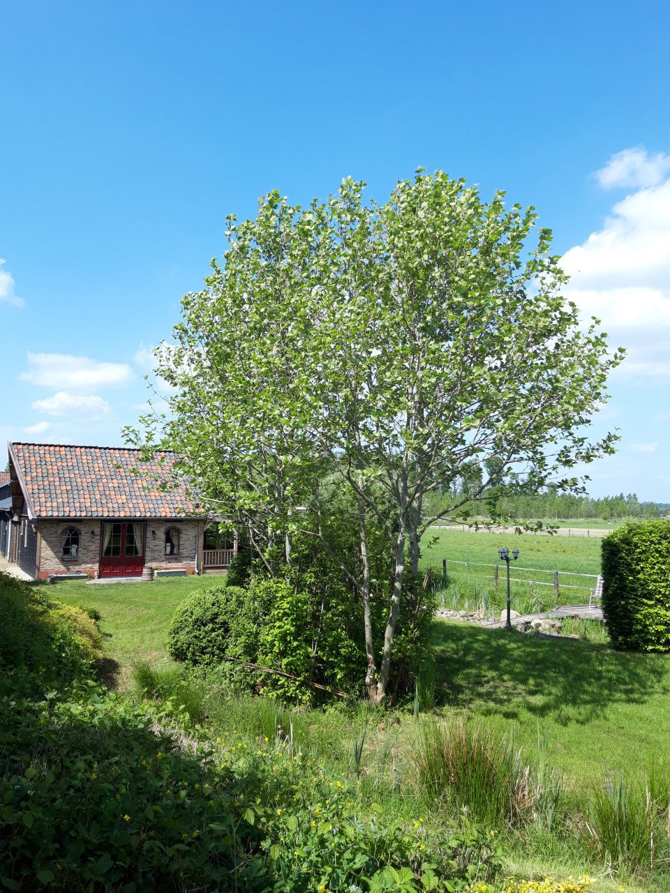 Casa nella natura a Amerongen