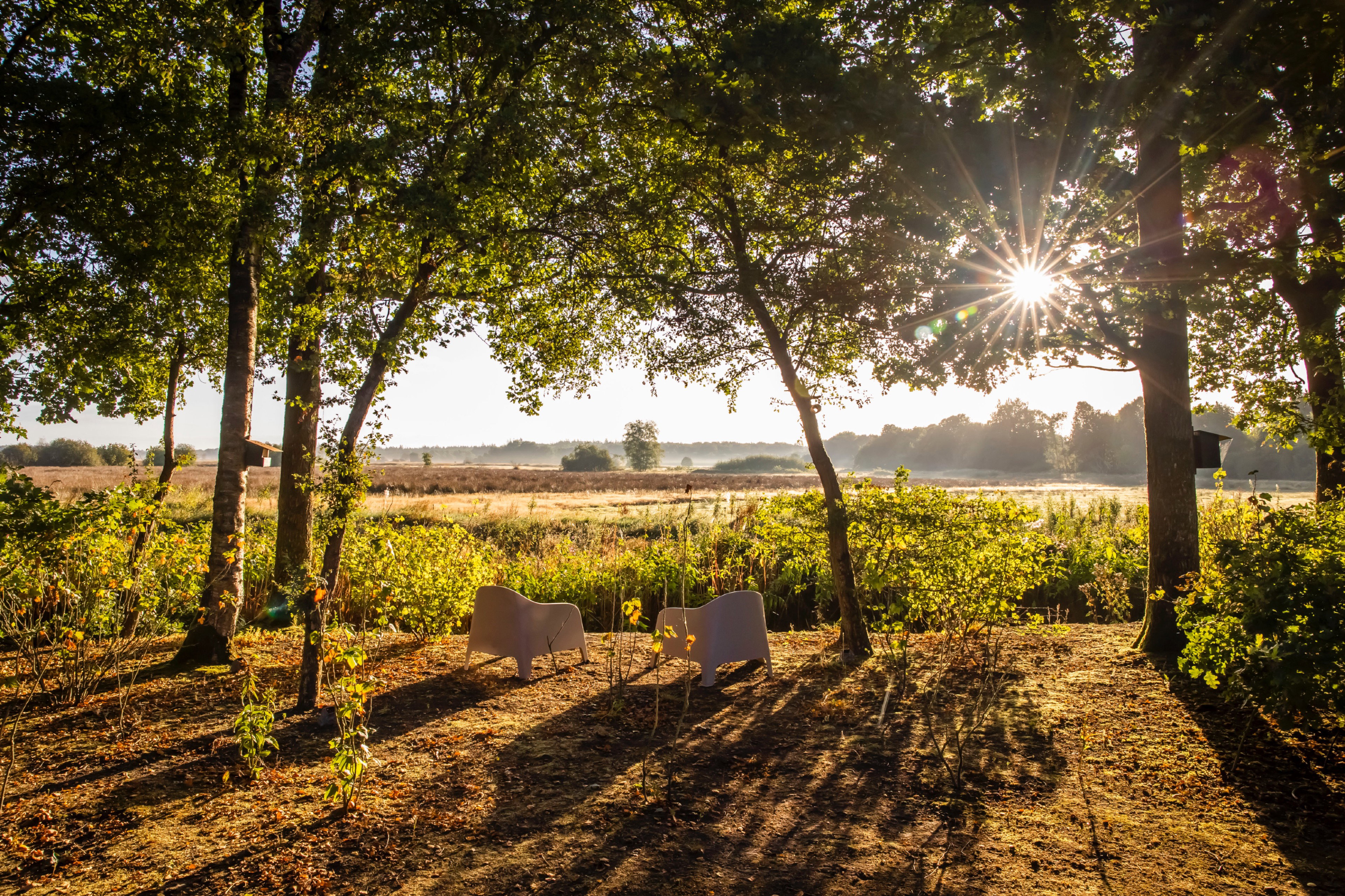 Naturhäuschen in Oude Willem