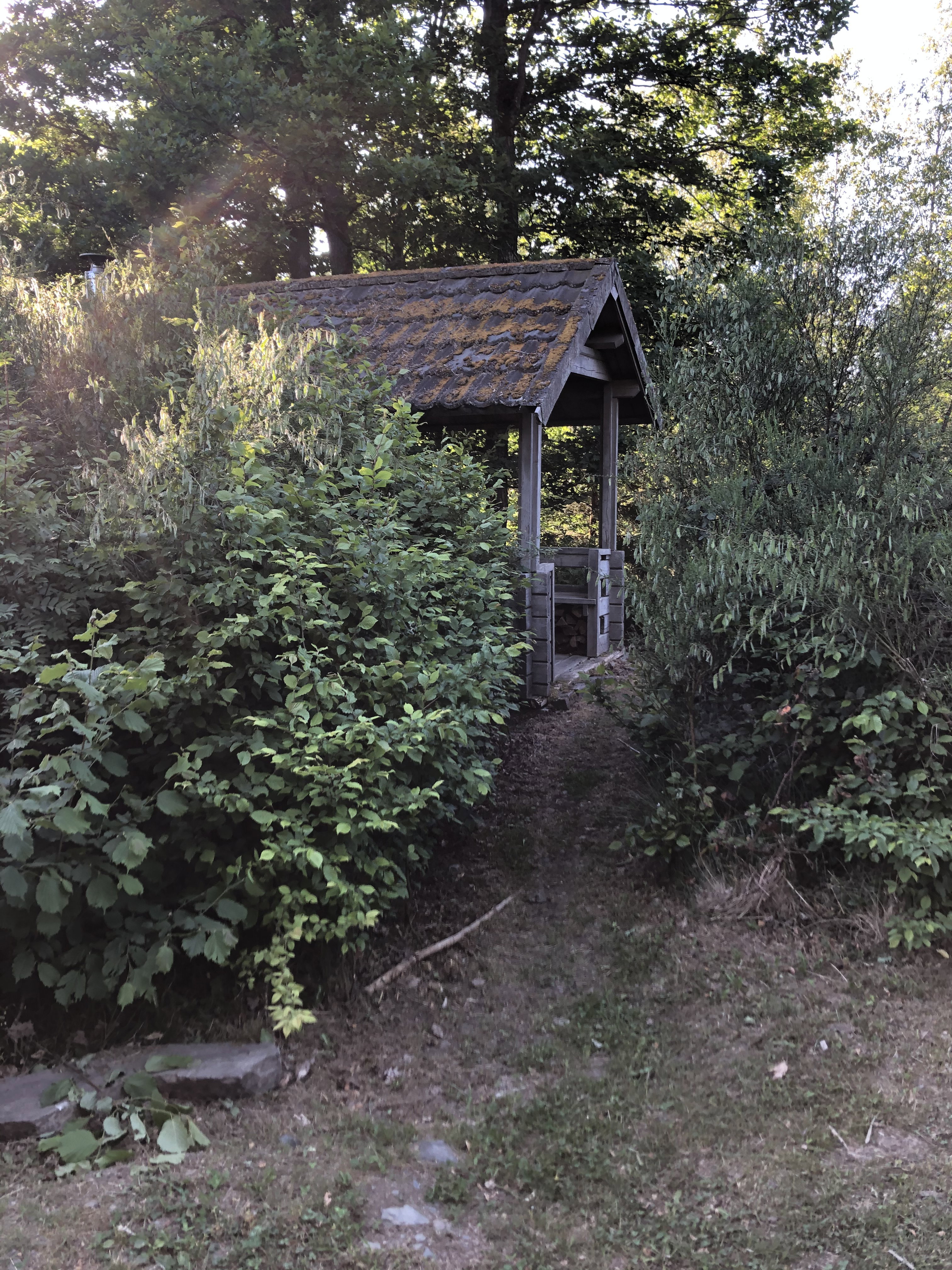 - image: 14