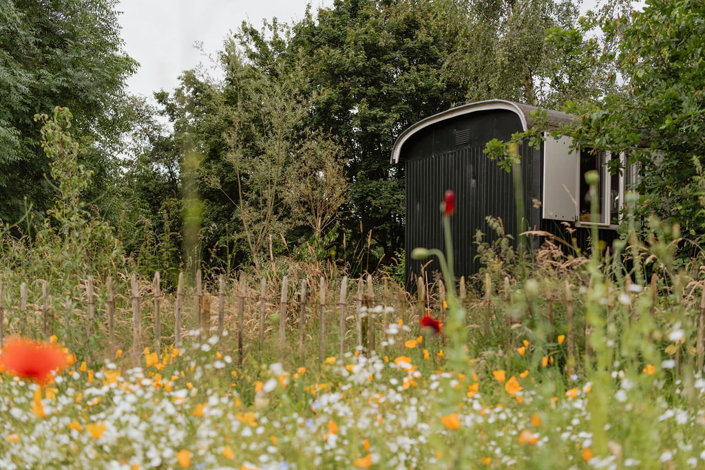 Maison nature à Gassel