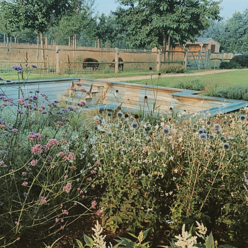 Natuurhuisje in Lembeke