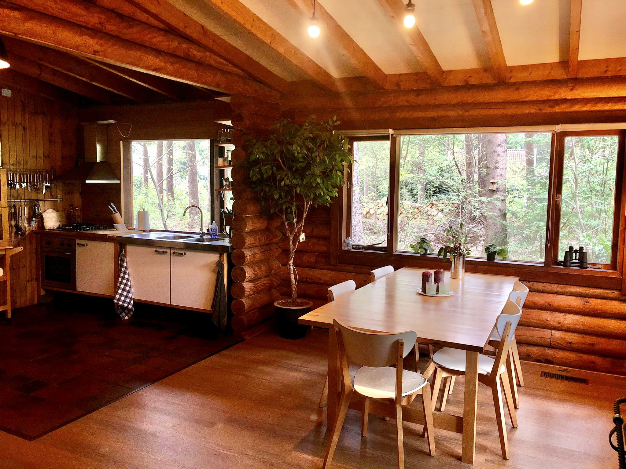 Maison nature à Bergentheim
