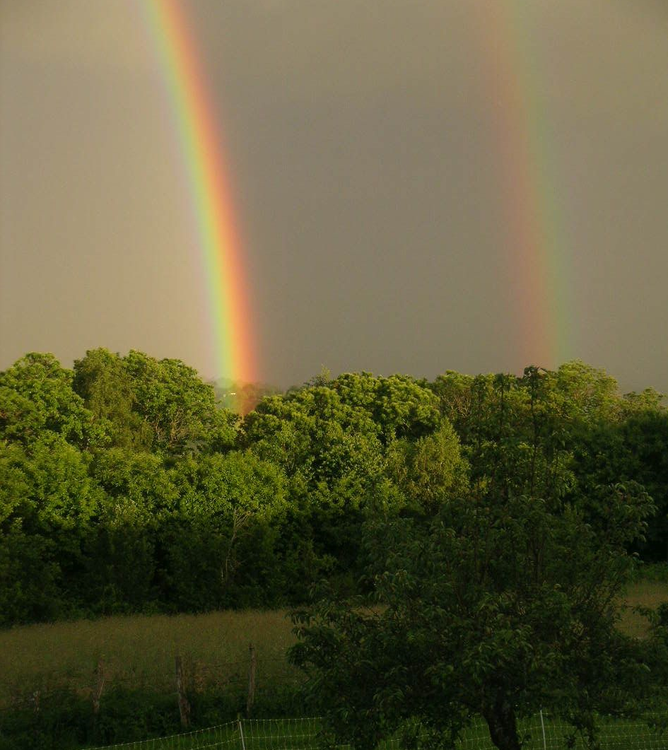 - image: 29