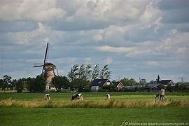 - image: 27