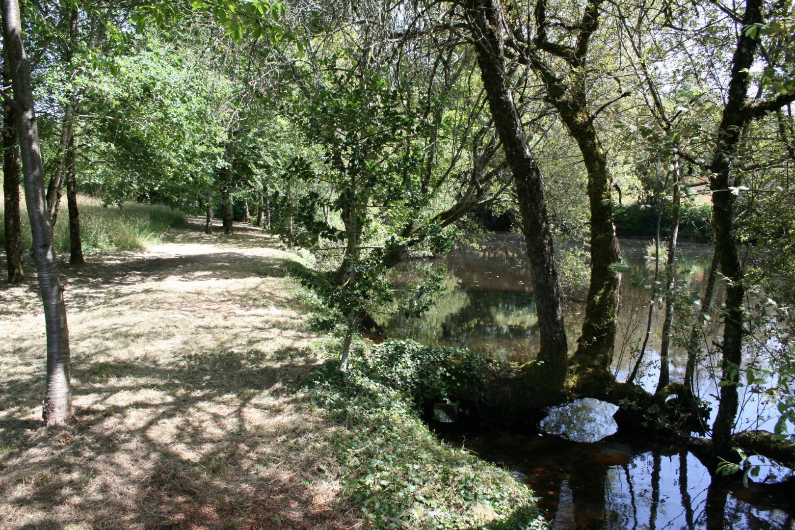 Natuurhuisje in Saint Jory de Chalais