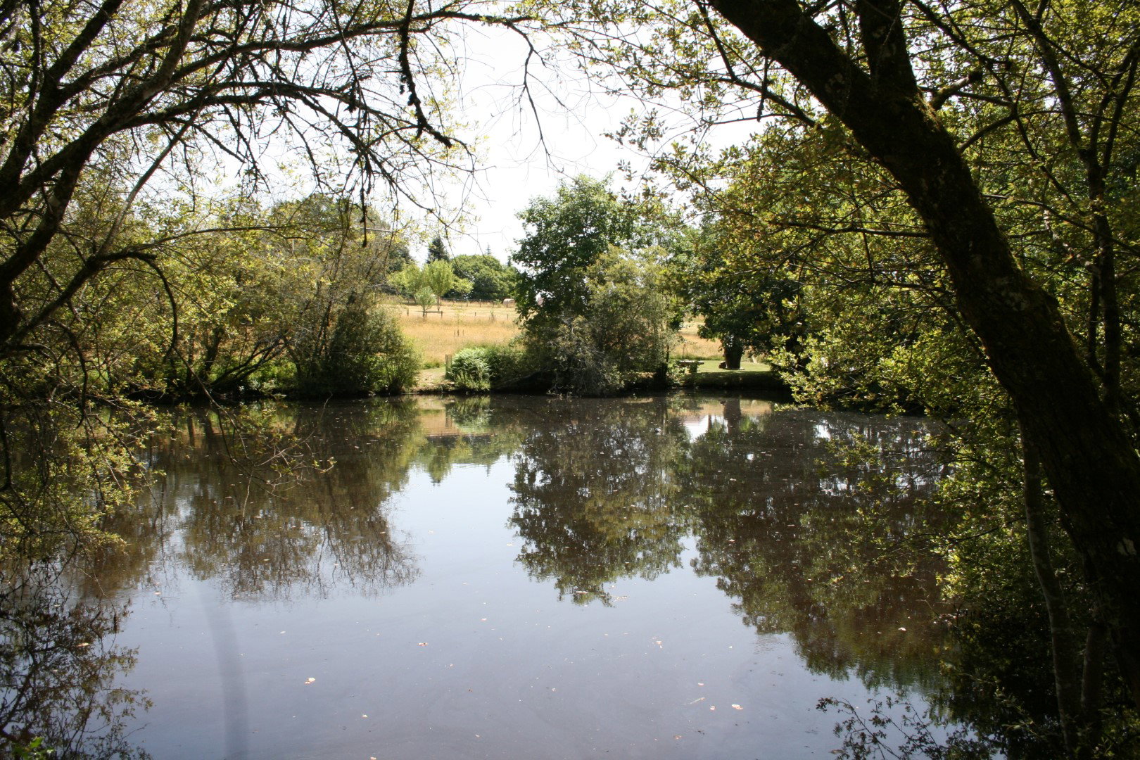 Natuurhuisje in Saint Jory de Chalais