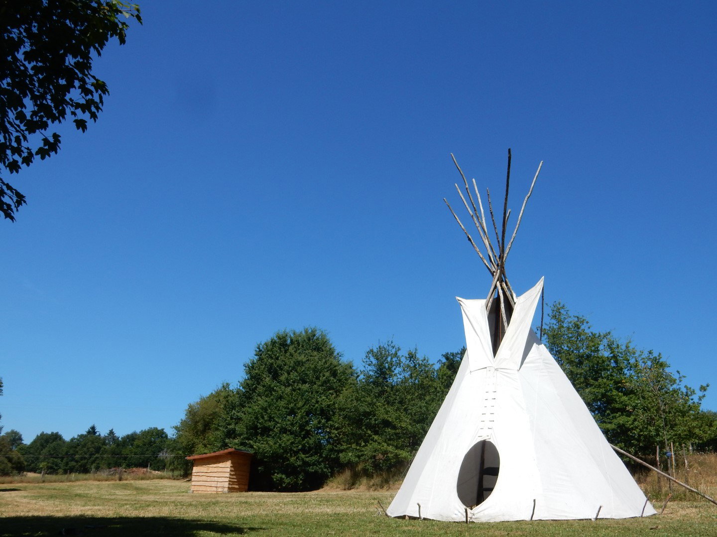 Natuurhuisje in Saint Jory de Chalais
