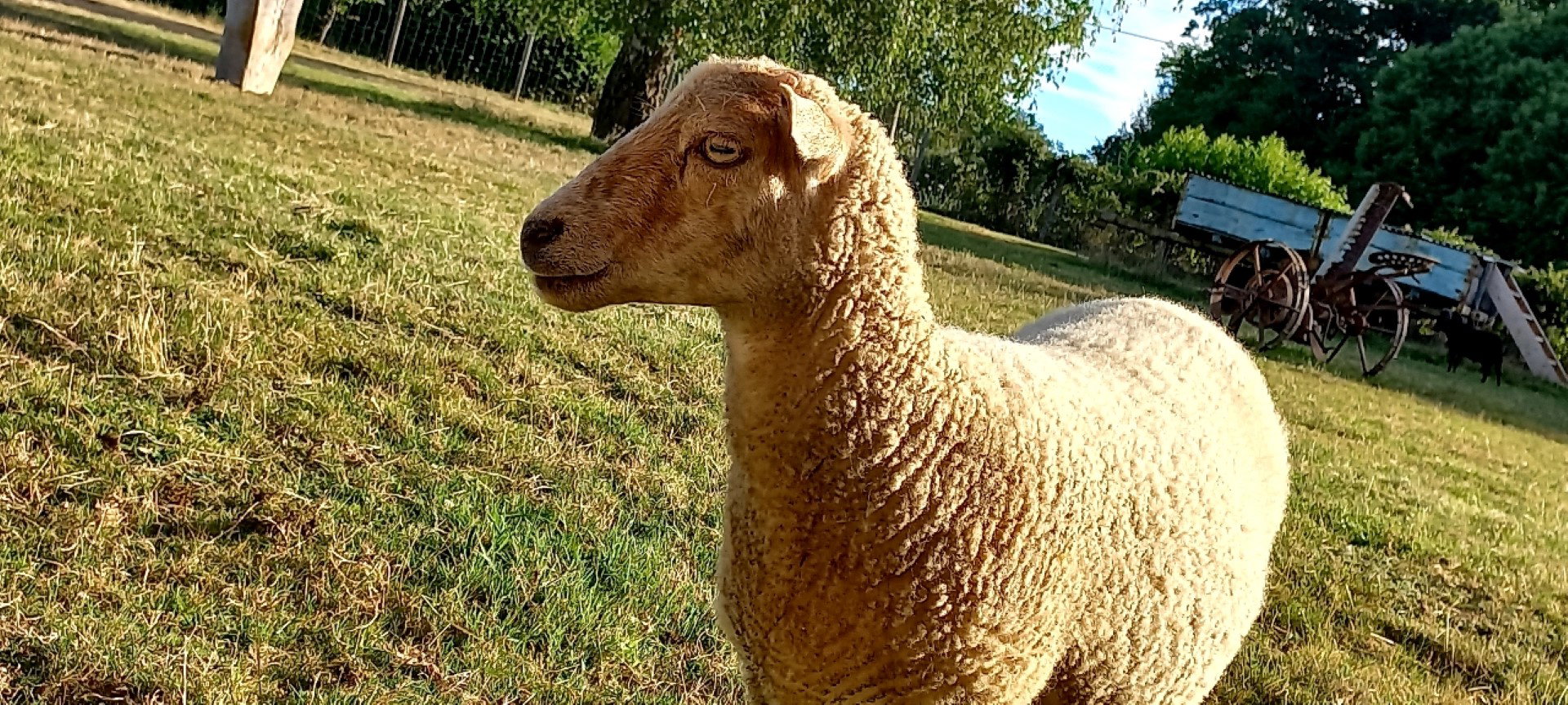 Natuurhuisje in Saint Jory de Chalais