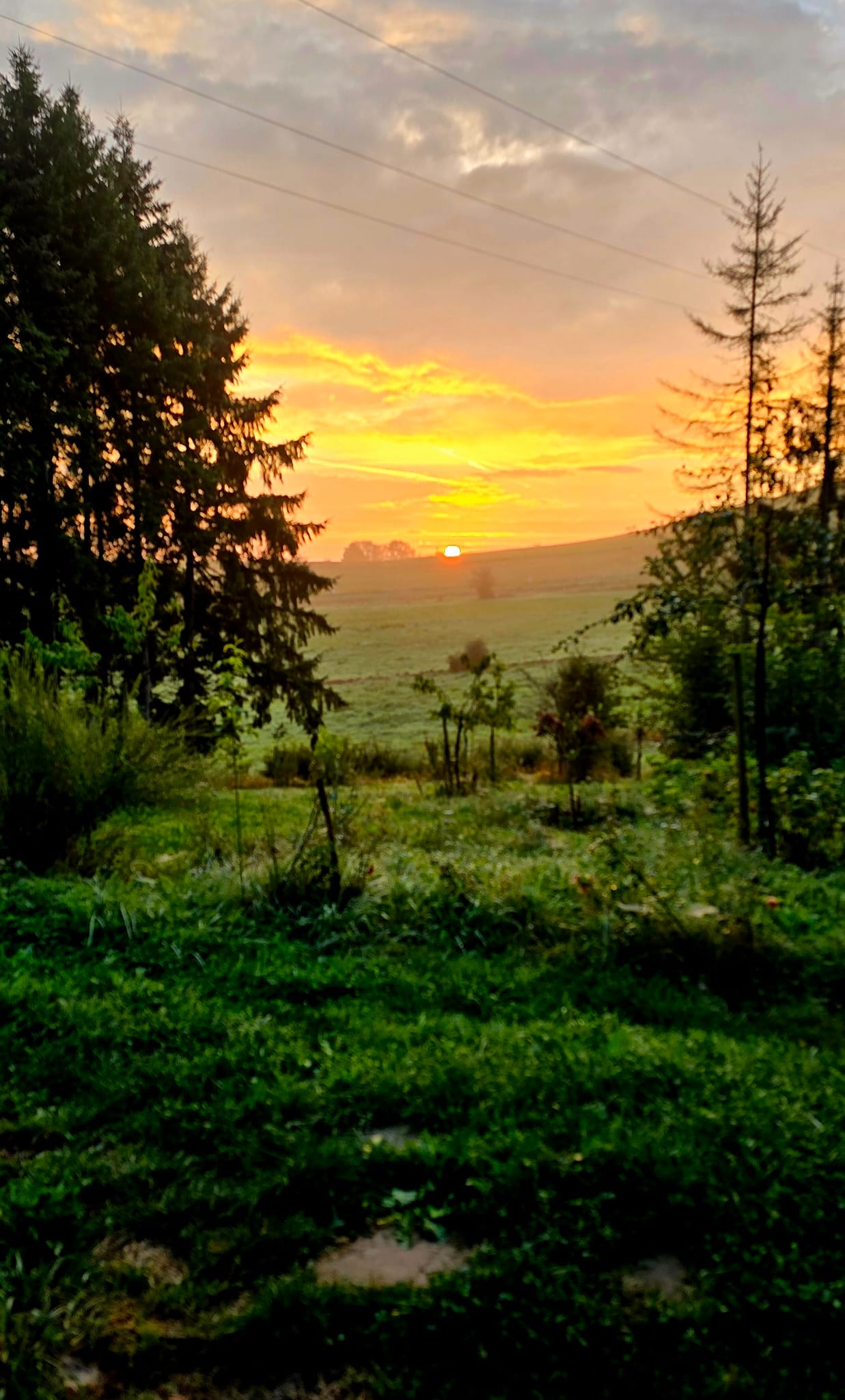 Maison nature à Oberpierscheid