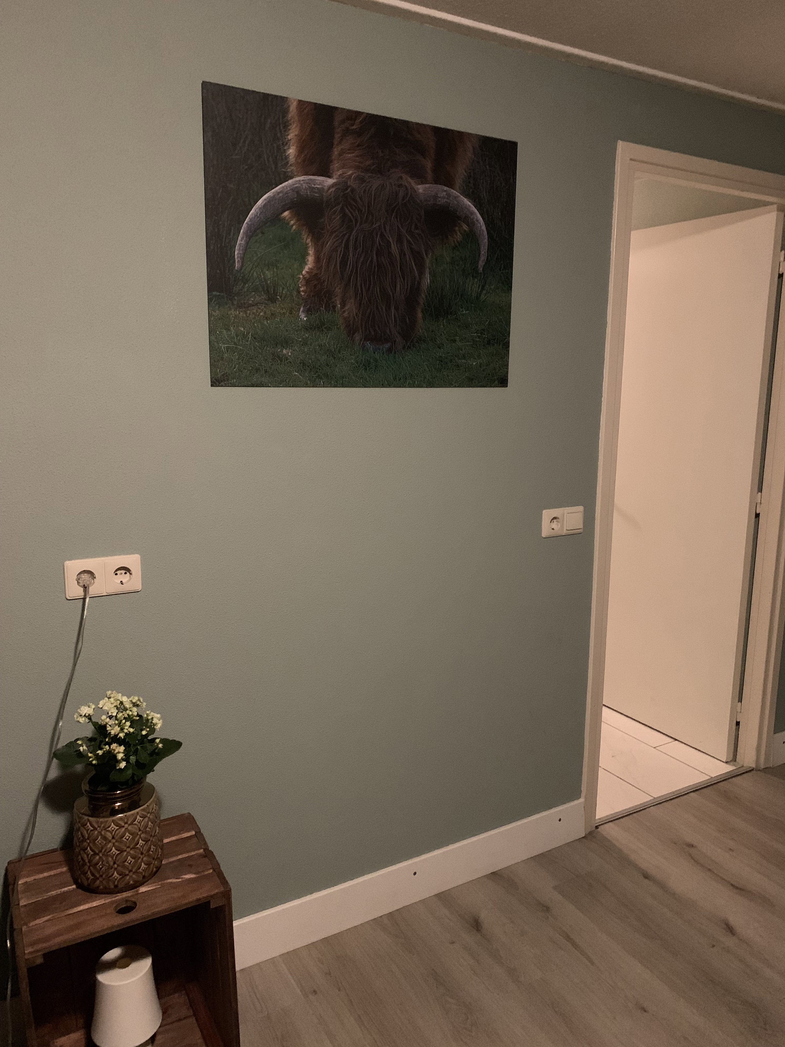 Casa nella natura a Venhorst