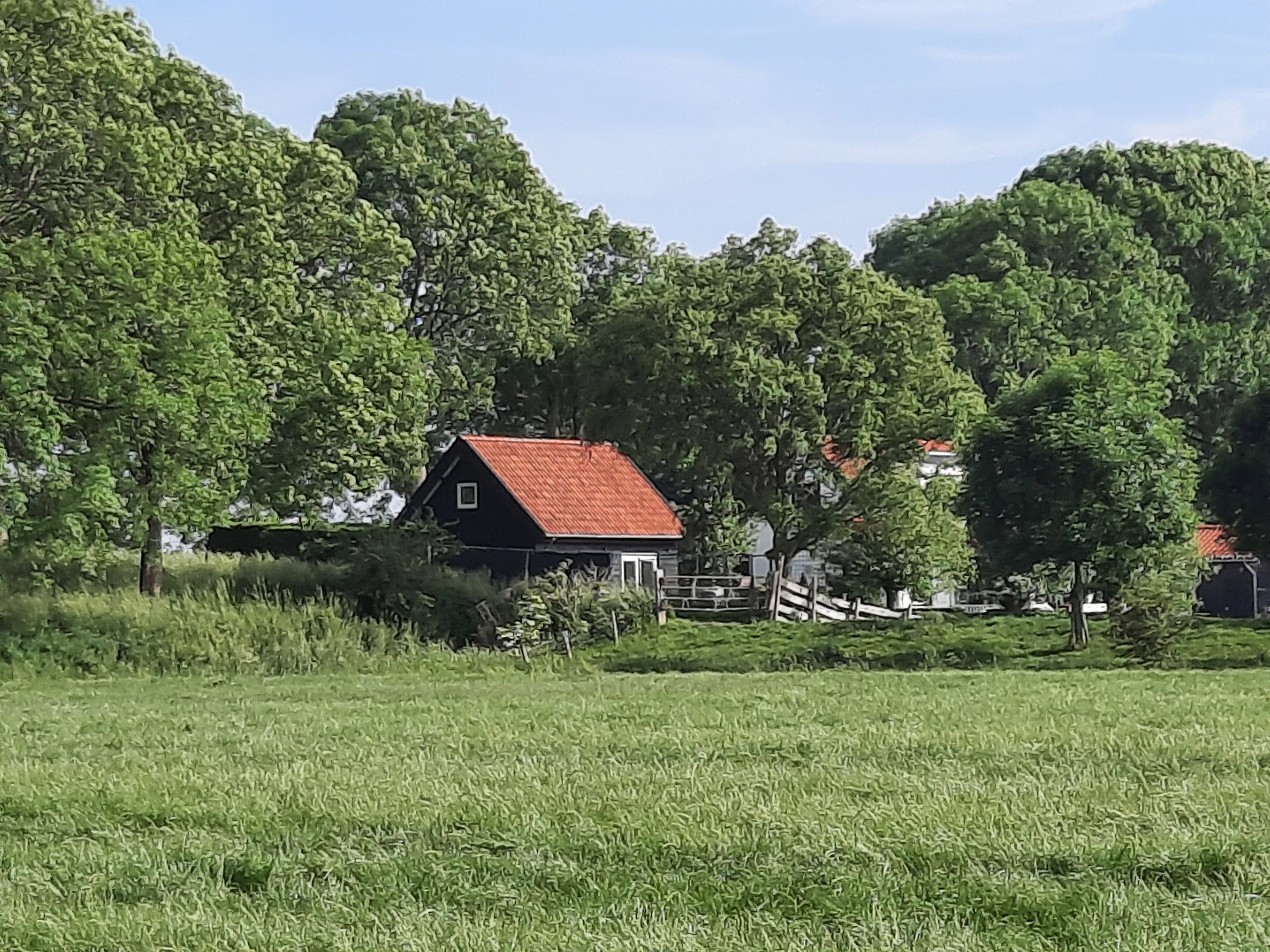 - image: 17