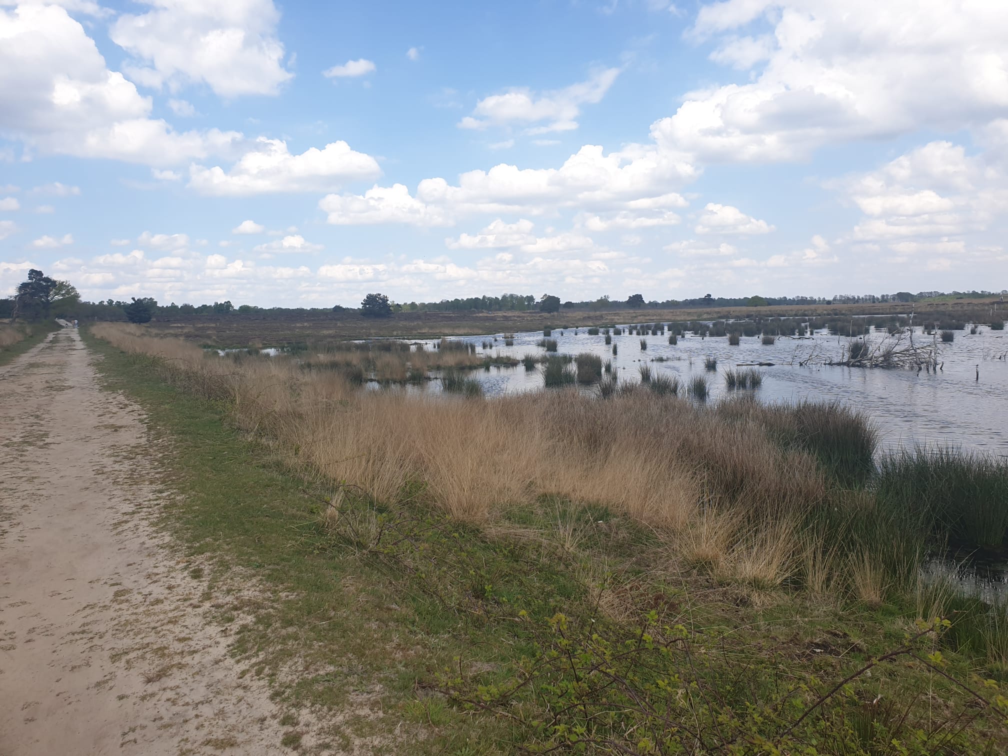 Naturhäuschen in Westerhaar-Vriezenveensewijk